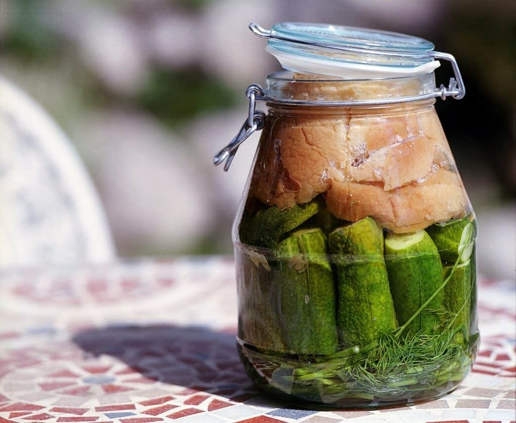 Restore Gut Health - Fermented Foods