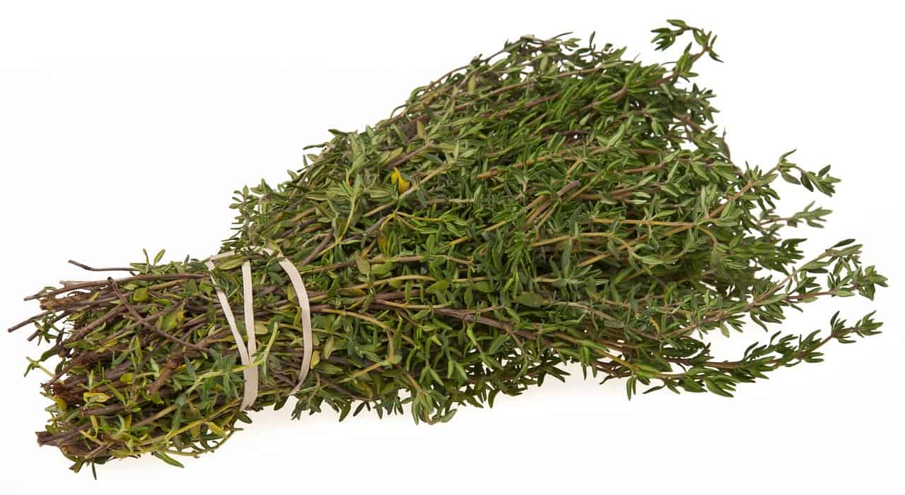 Foods that start with t - Thyme