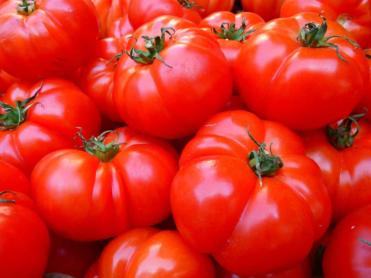 Foods that start with t - Tomato
