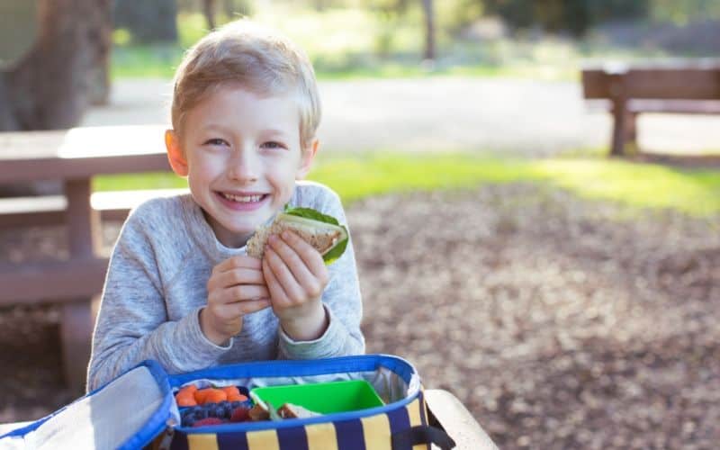 school lunch ideas for picky eaters