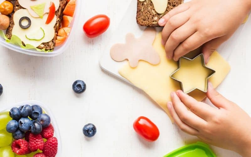 school lunch ideas for picky eaters