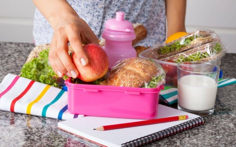 school lunch ideas for picky eaters