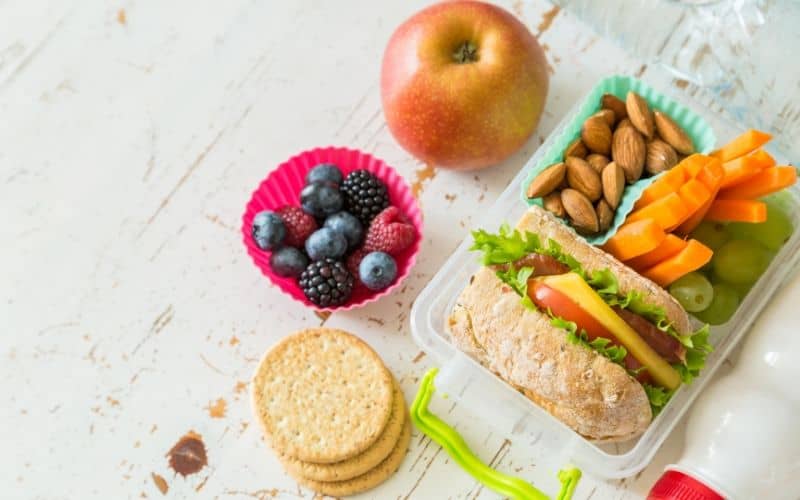 school lunch ideas for picky eaters