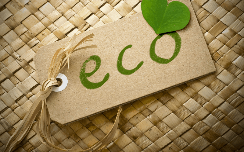 how to make your home more eco friendly